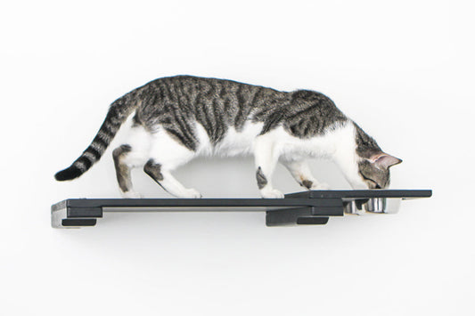 Wall Mounted Cat Feeding Shelf