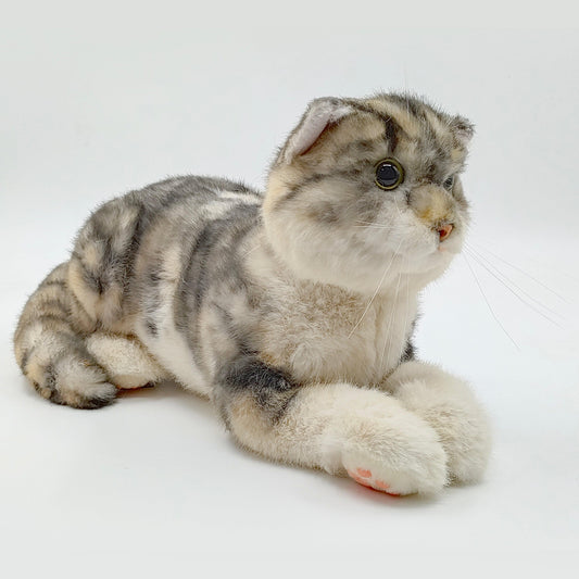 NO.13 Tappy Cat Order to Make