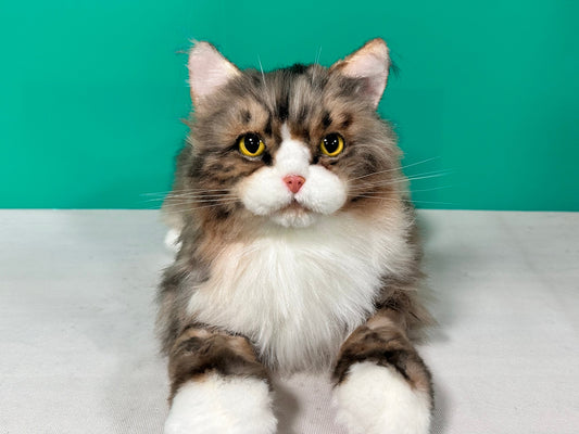 Plush Norwegian Forest Cat Order to Make