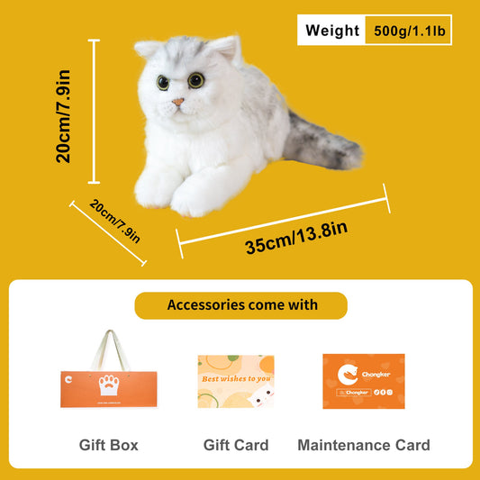 British Shorthair Cat – Realistic Plush for Women