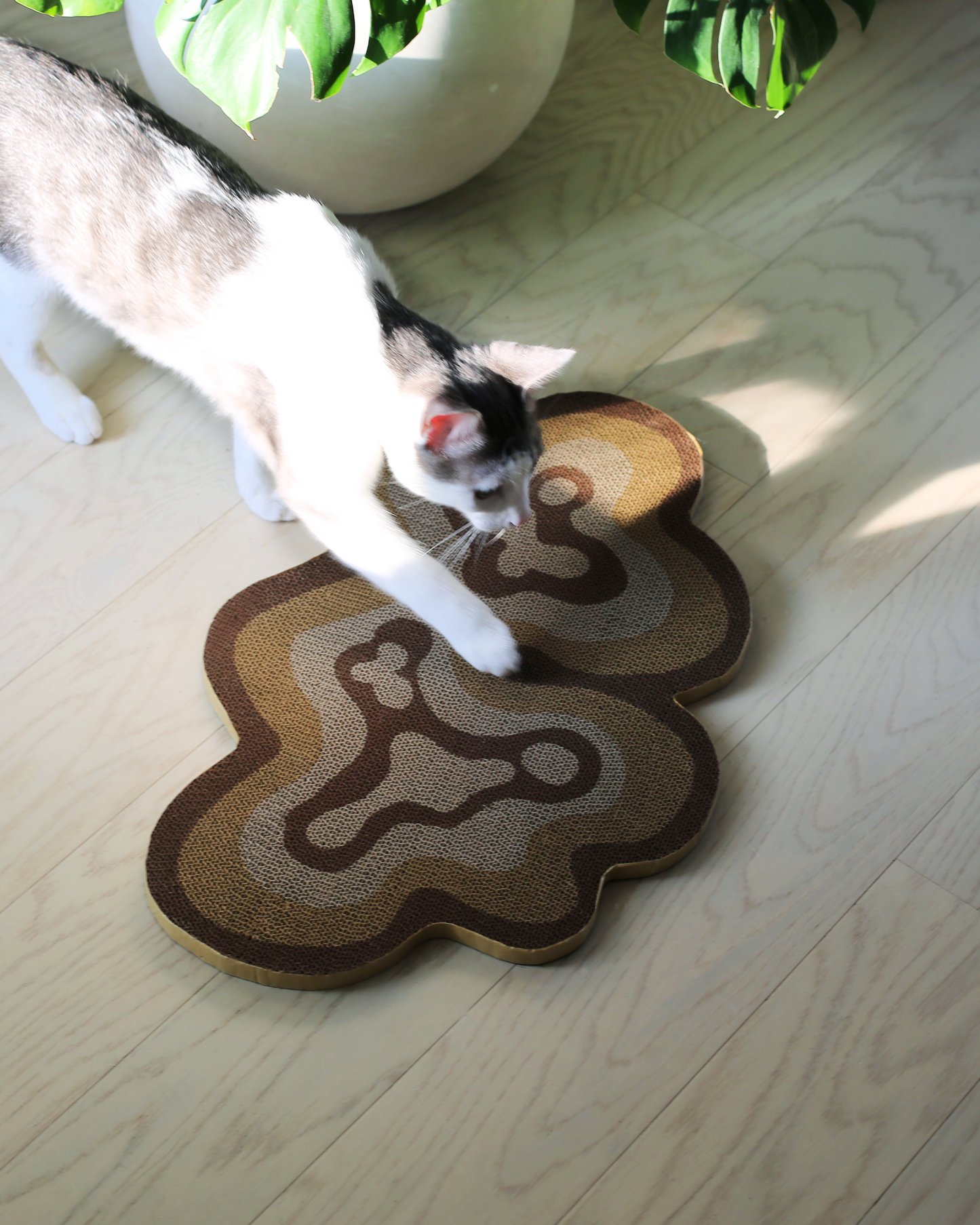 Bloom Scratchers