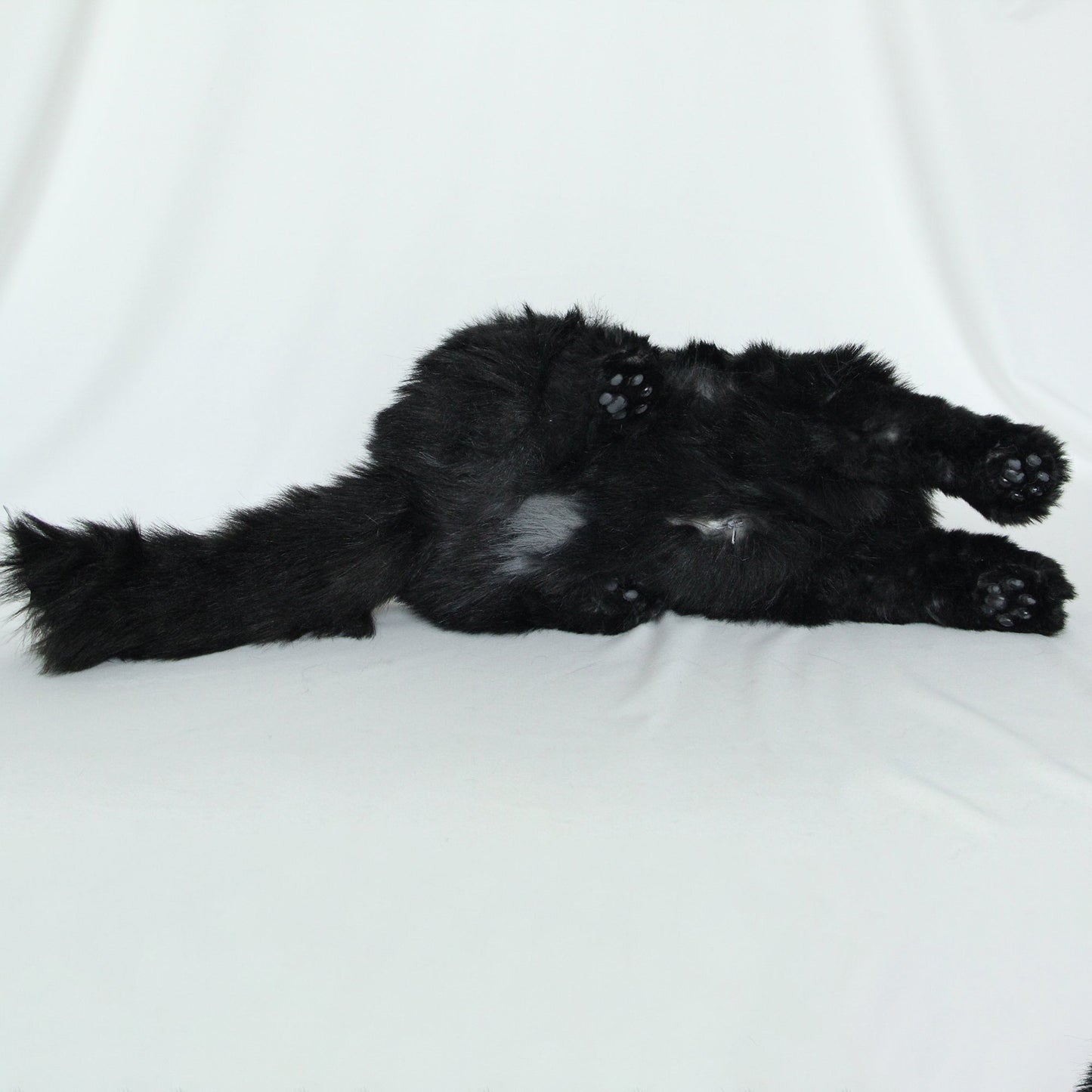 Fully Black Cat MADE-TO-ORDER