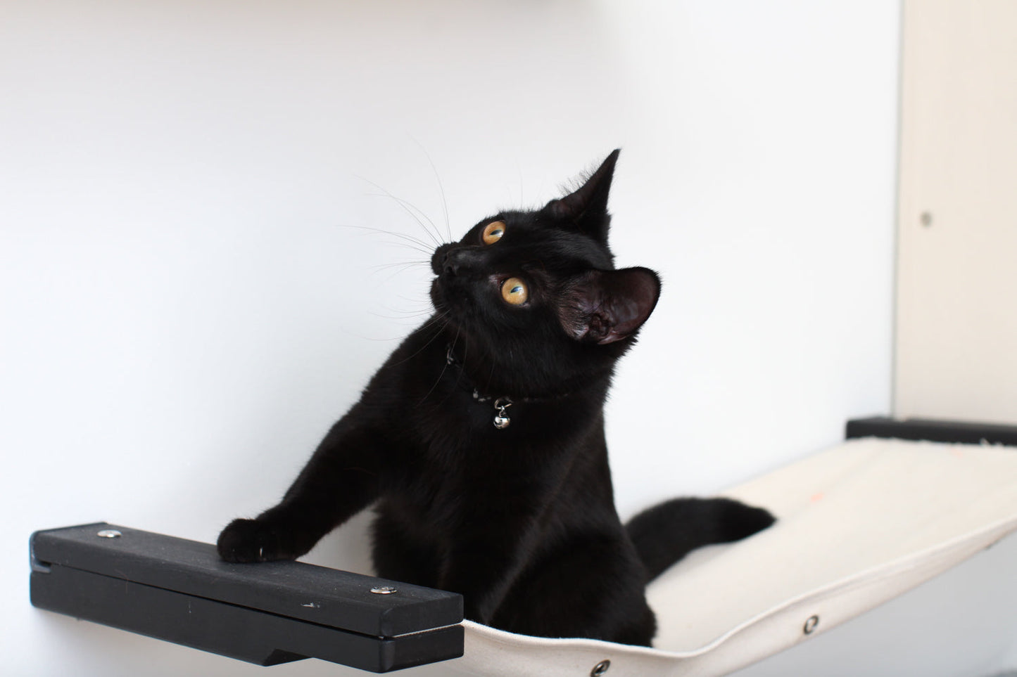 Cat Maze Wall - 3 Tier Cat Tree