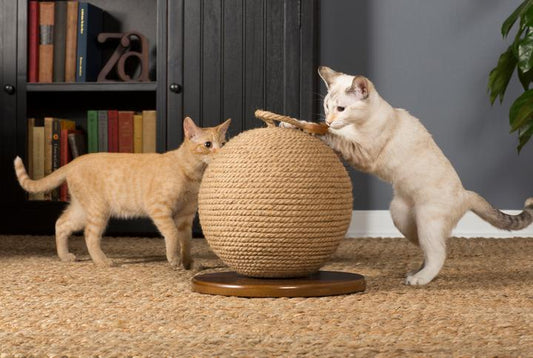 Prevue Kitty Power Paws® Sphere Scratching Post (13" H)