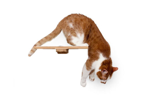 Cat Perch - Wall Mounted and Wooden