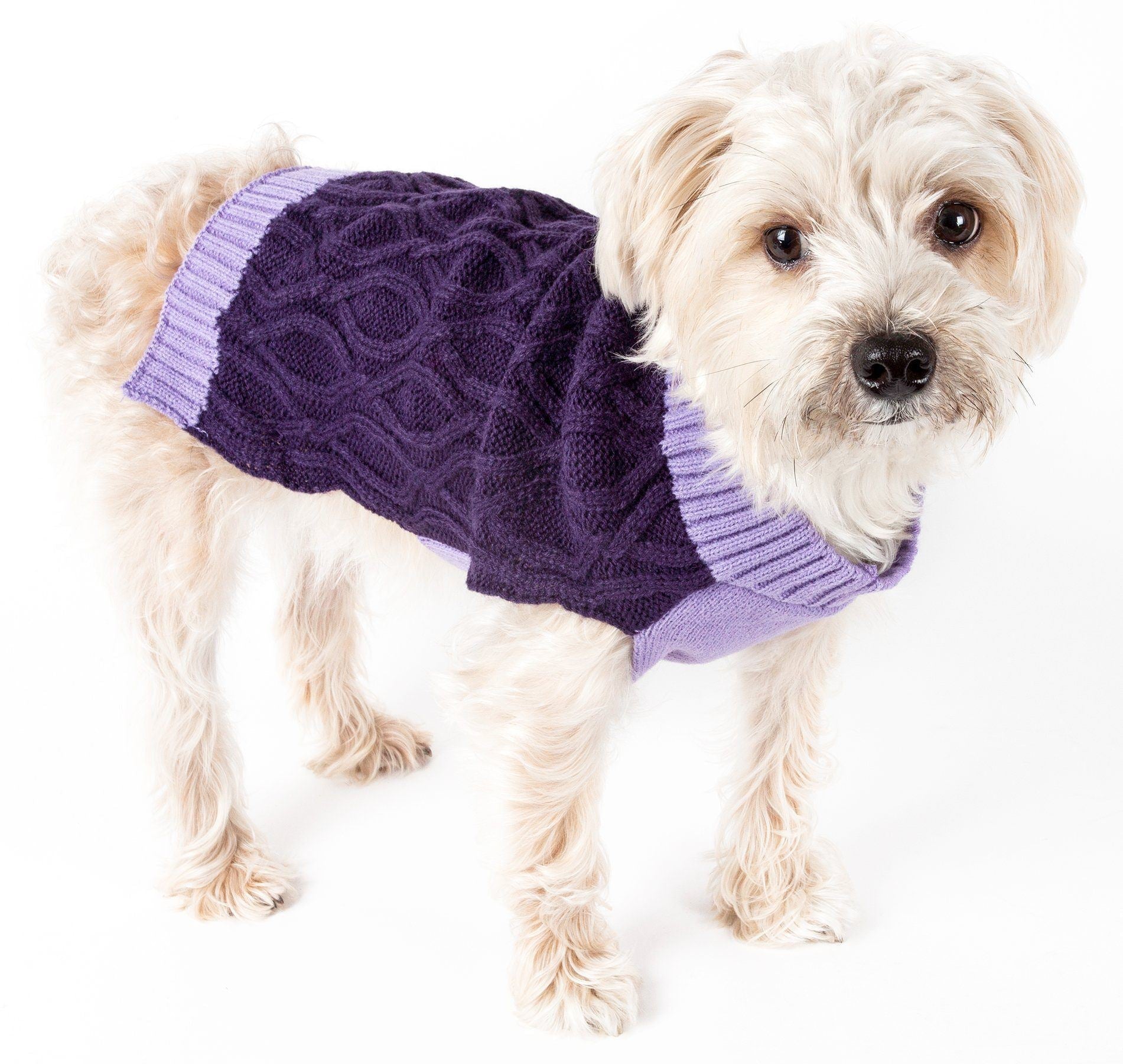 Discover Pet Life Oval Weaved Dog Sweater for Warmth – Loving Cats  Worldwide®