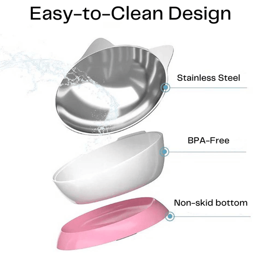 Stainless Steel Elevated Angled Cat Bowl