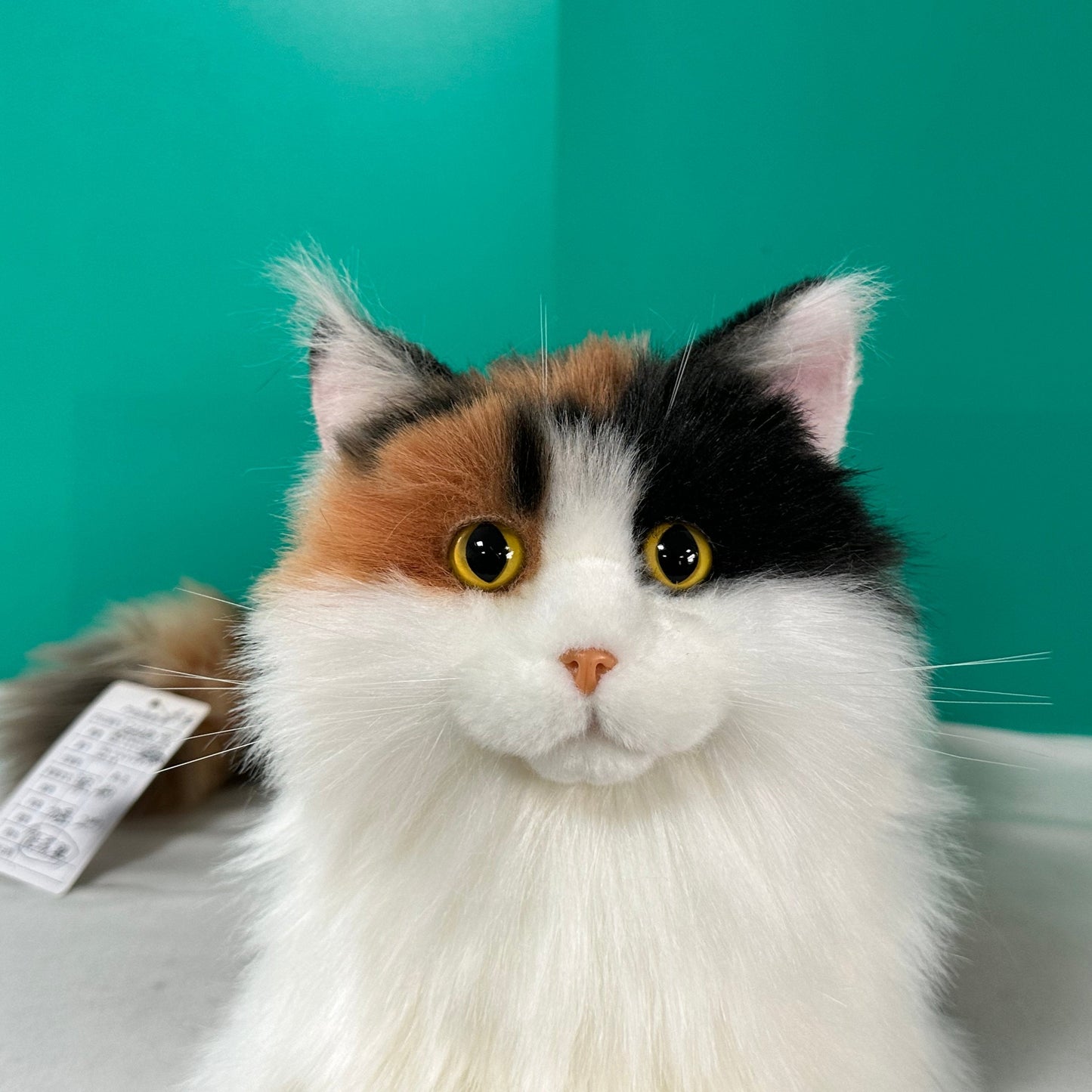 Plush Calico Cat Order to Make