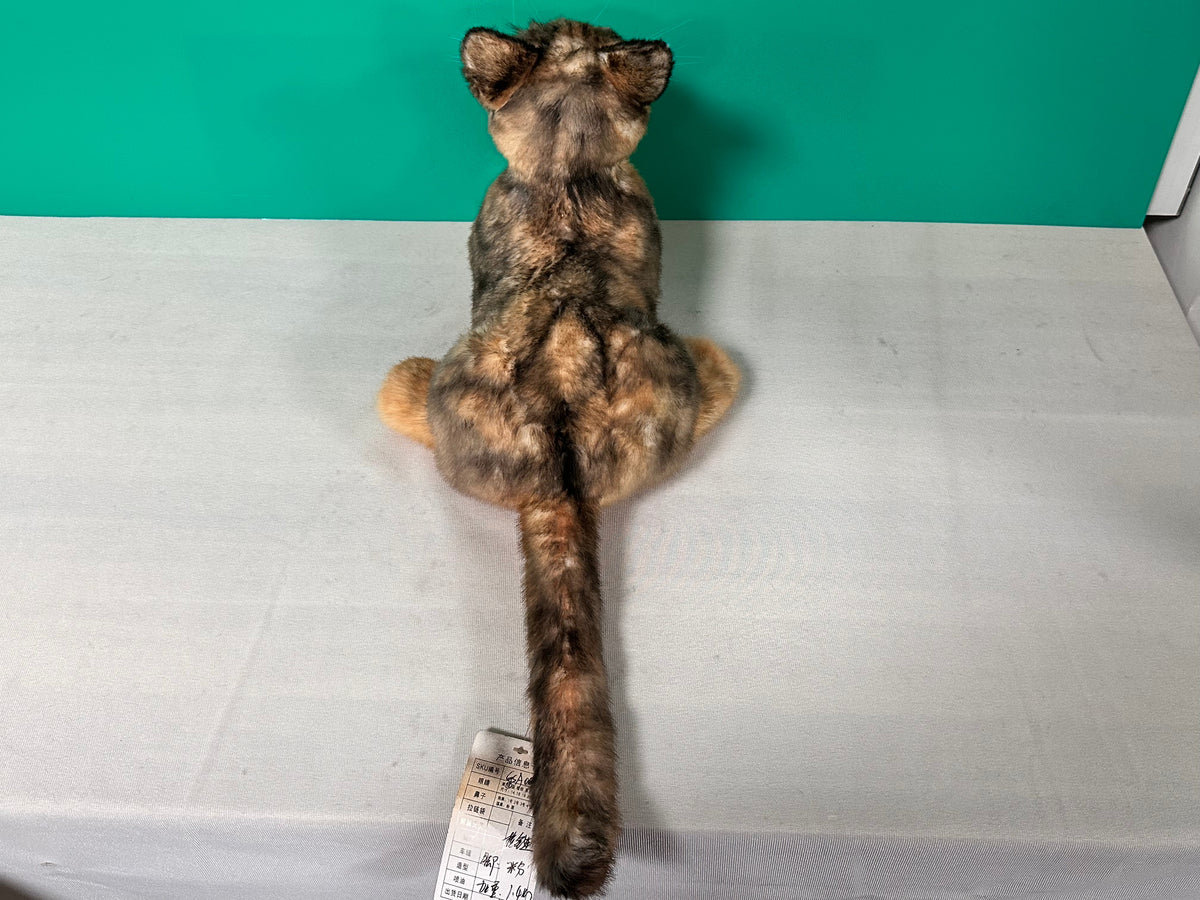 Plush Siamese Shorthair Cat Order to Make