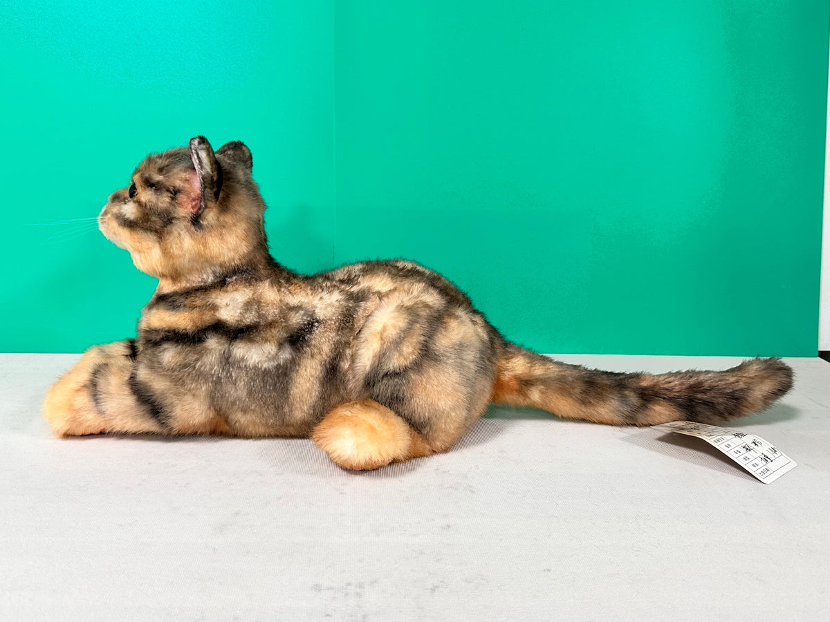 Plush Siamese Shorthair Cat Order to Make