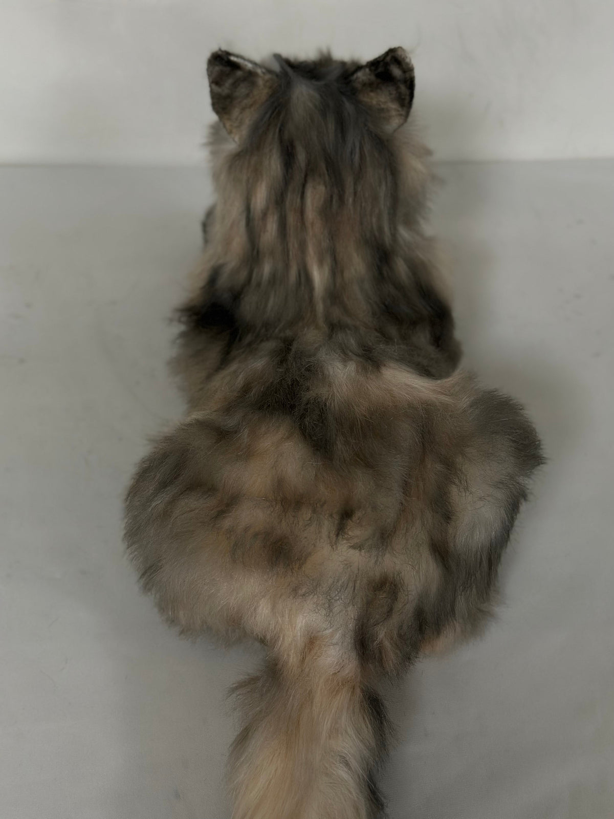 Plush American Tabby Cat Longhair Order to Make