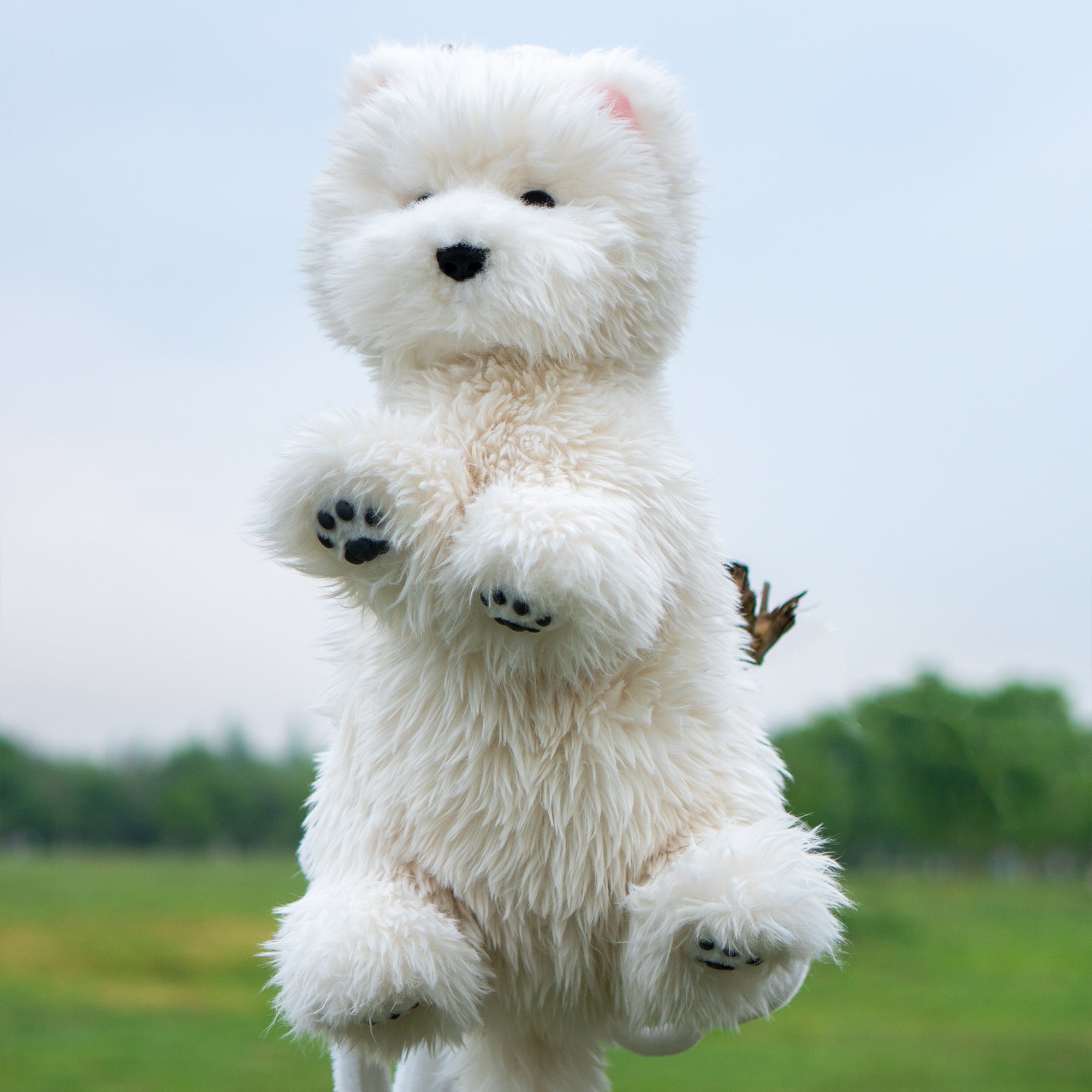 Discover Westie Dog Backpack - Plush & Practical – Loving Cats
