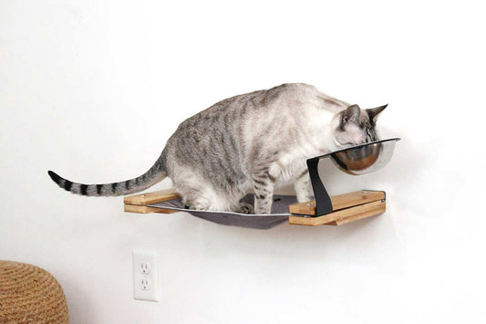 Dog Proof Cat Feeder - Wall-Mounted - Raised