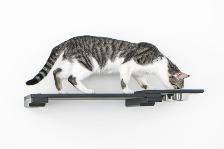 Wall Mounted Cat Feeding Shelf