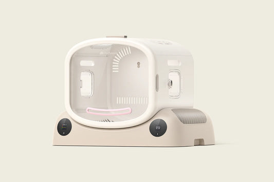 Pet Dryer Box - PetSnowy