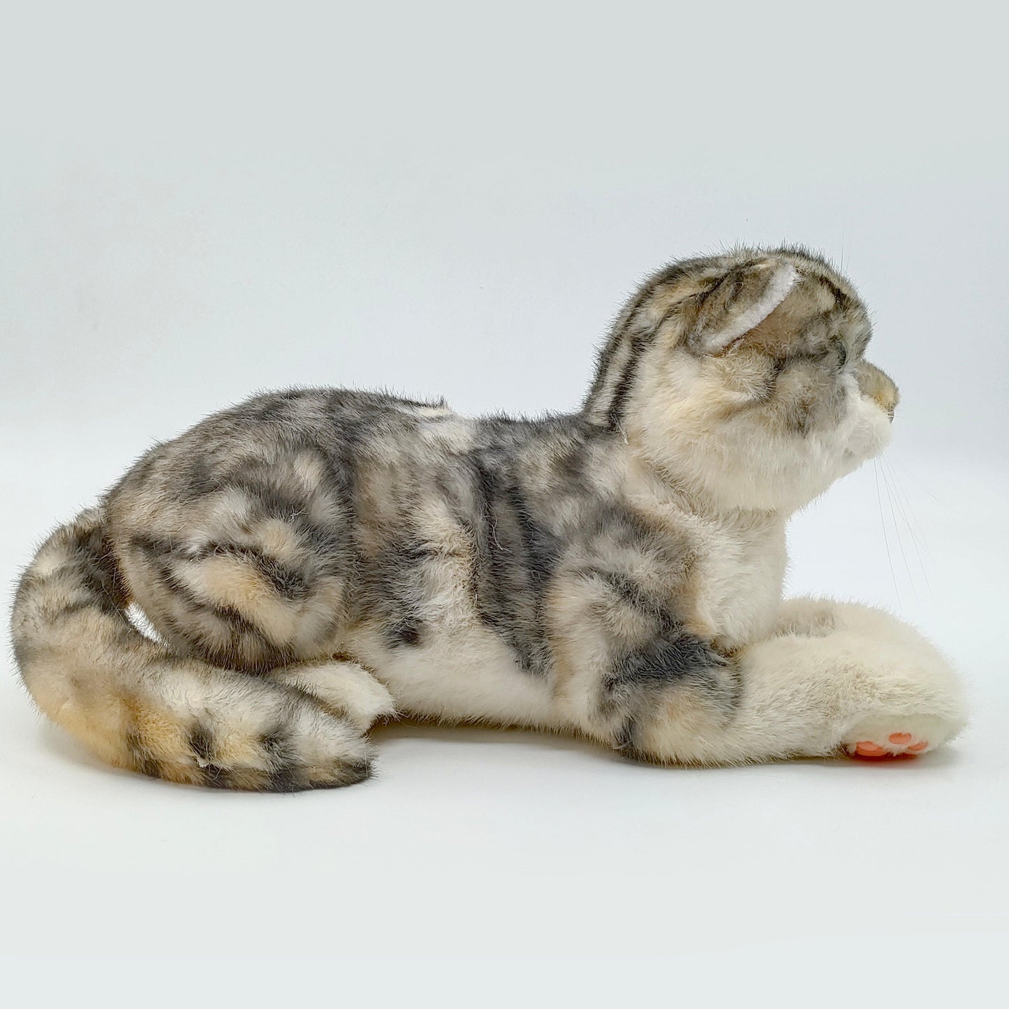 NO.13 Tappy Cat Order to Make