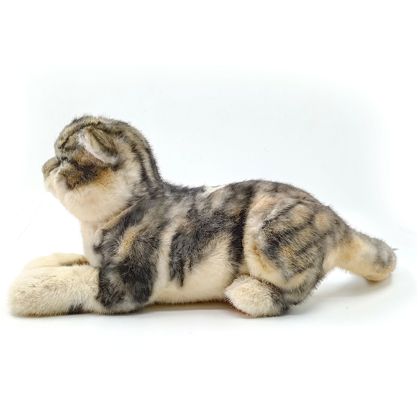 NO.13 Tappy Cat Order to Make