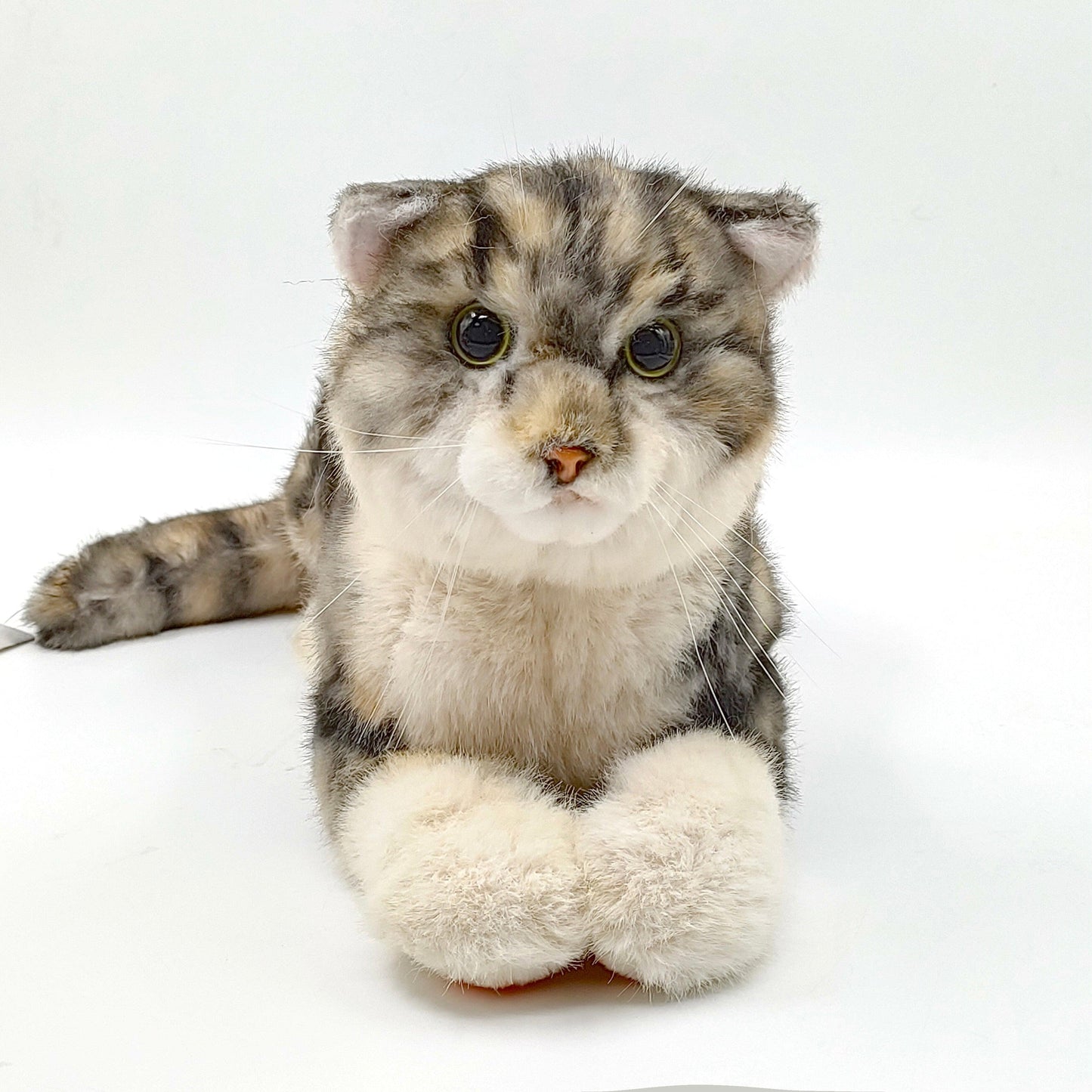 NO.13 Tappy Cat Order to Make