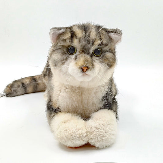 NO.13 Tappy Cat Order to Make