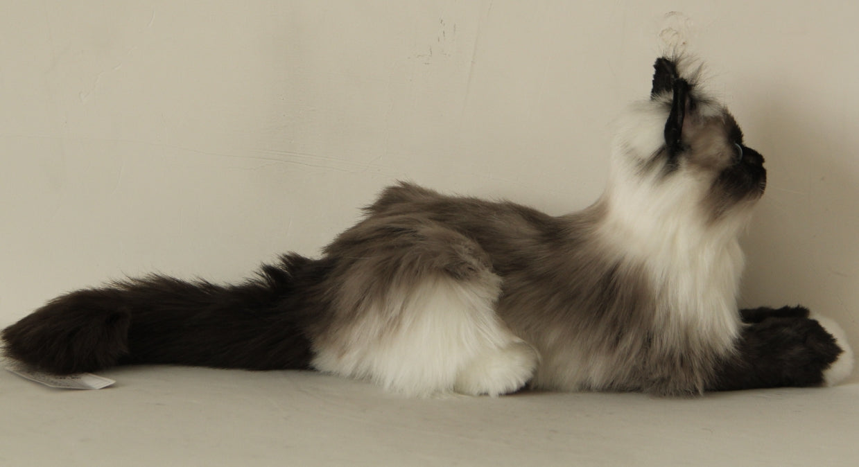 Siamese Cat Longhair MADE-TO-ORDER