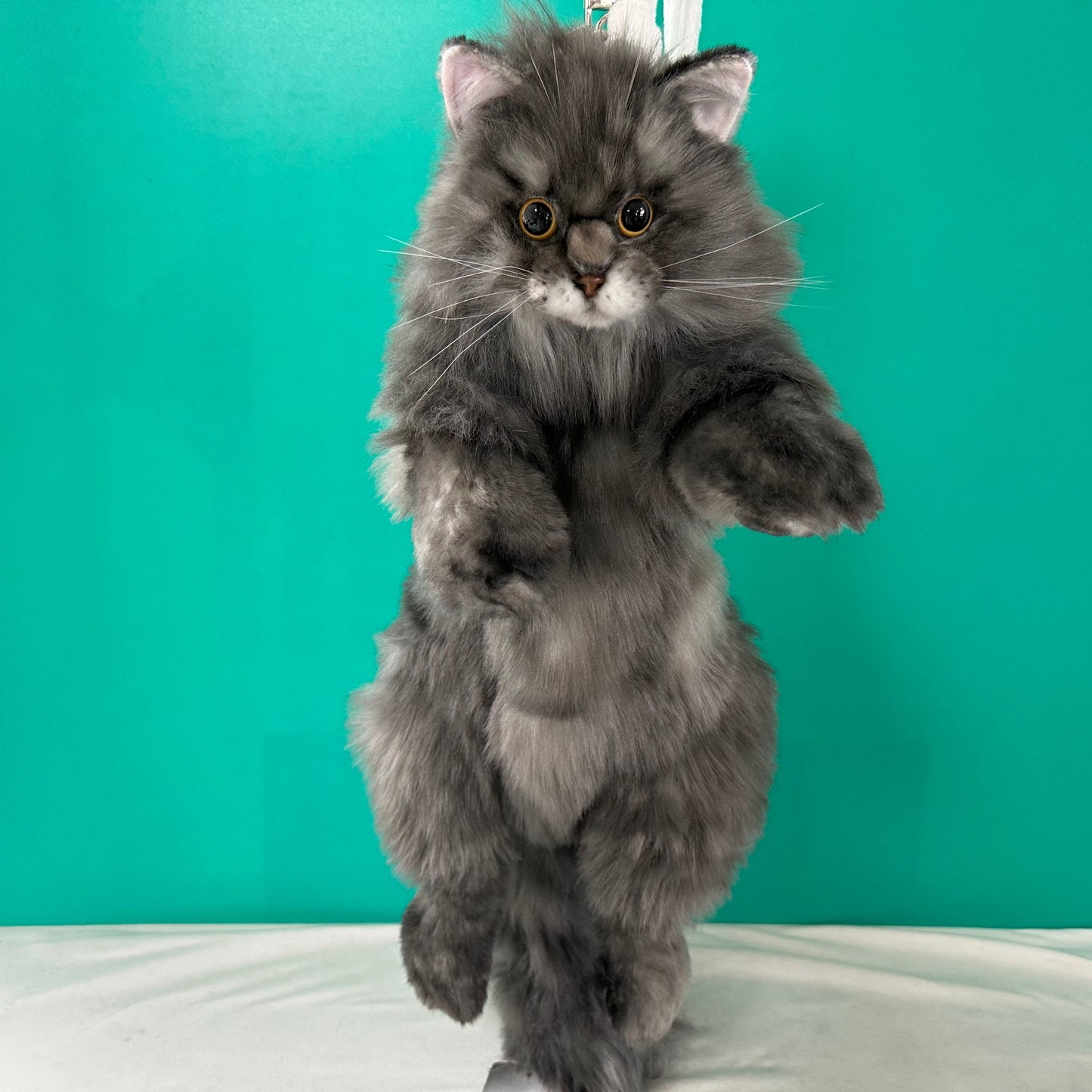 Custom Backpack (Long Hair Cat Only)