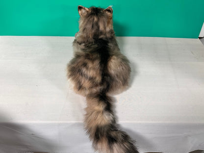 Plush Norwegian Forest Cat Order to Make