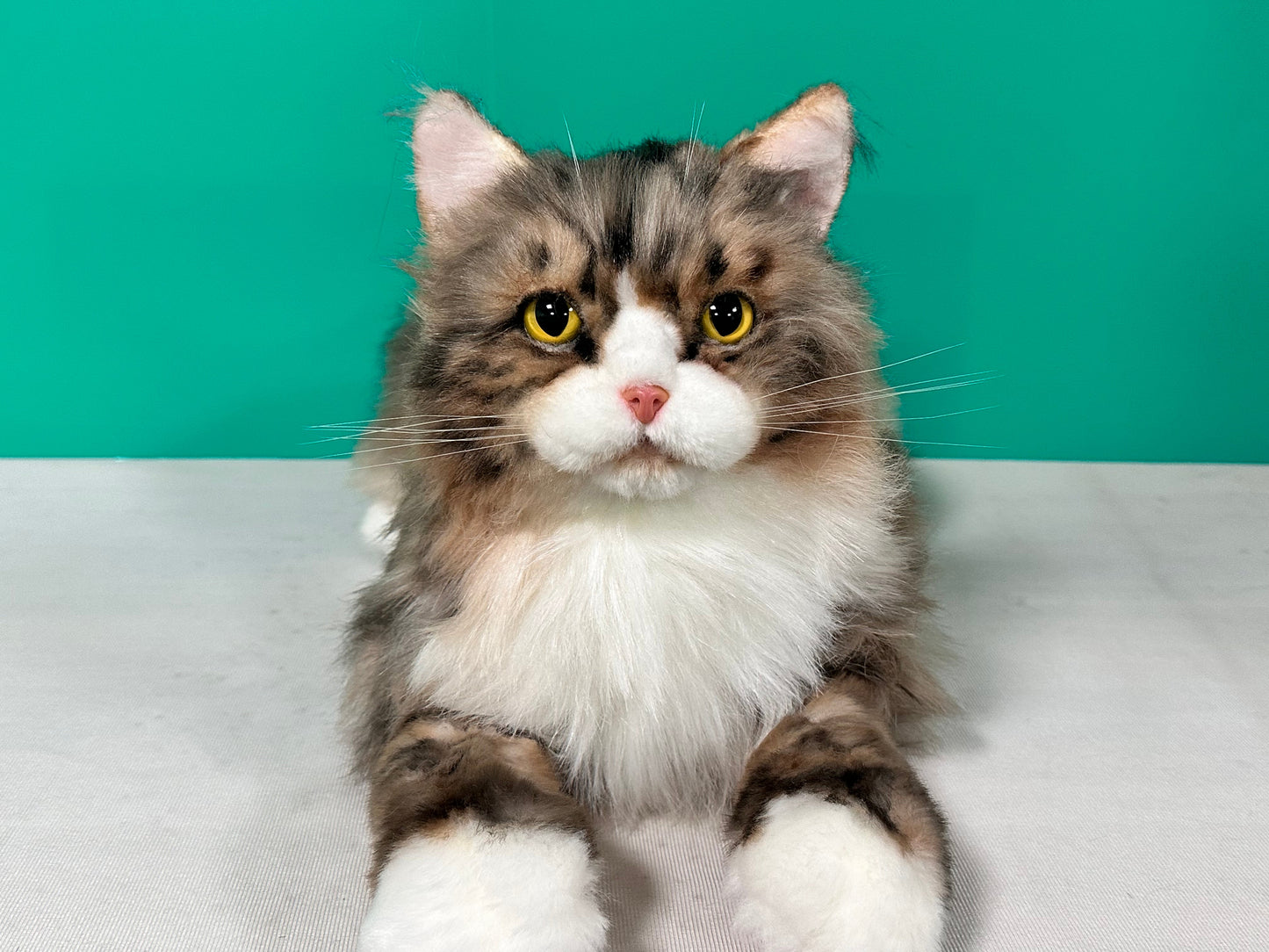 Plush Norwegian Forest Cat Order to Make