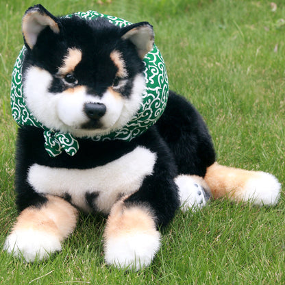 Black Shiba Inu Dog
