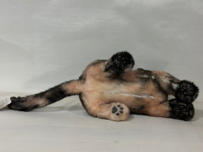 Plush Tortoiseshell Cat Shorthair Order to Make