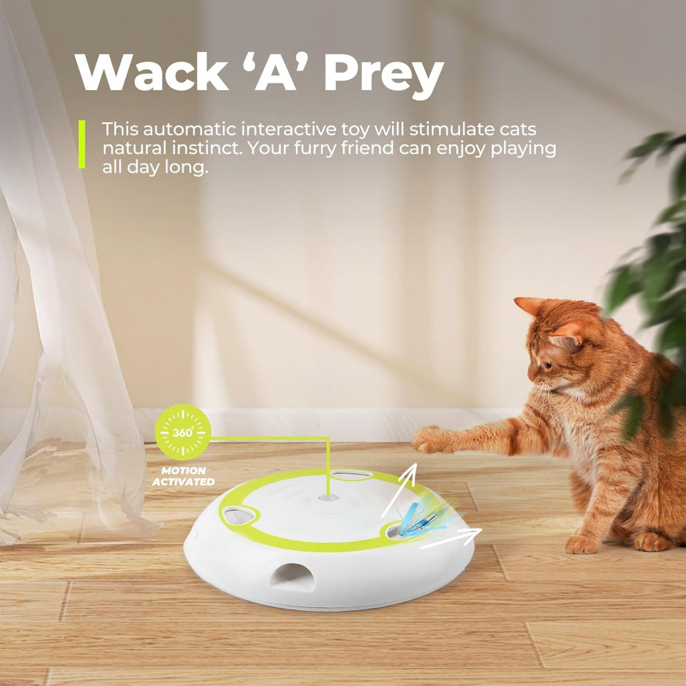 Unlock Cat Fun with Heat-Activated Whack 'A' Prey Toy – Loving Cats ...