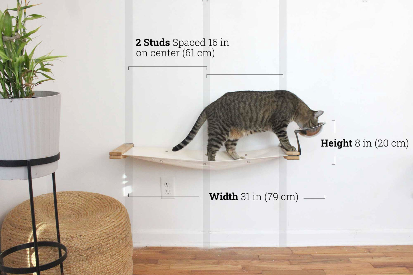 Dog Proof Cat Feeder - Wall-Mounted - Raised