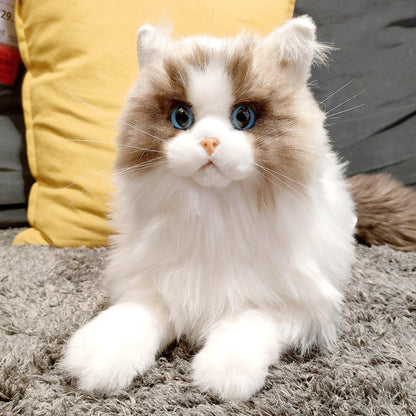 Ragdoll Weighted Plush – Realistic Cozy Calming Toy