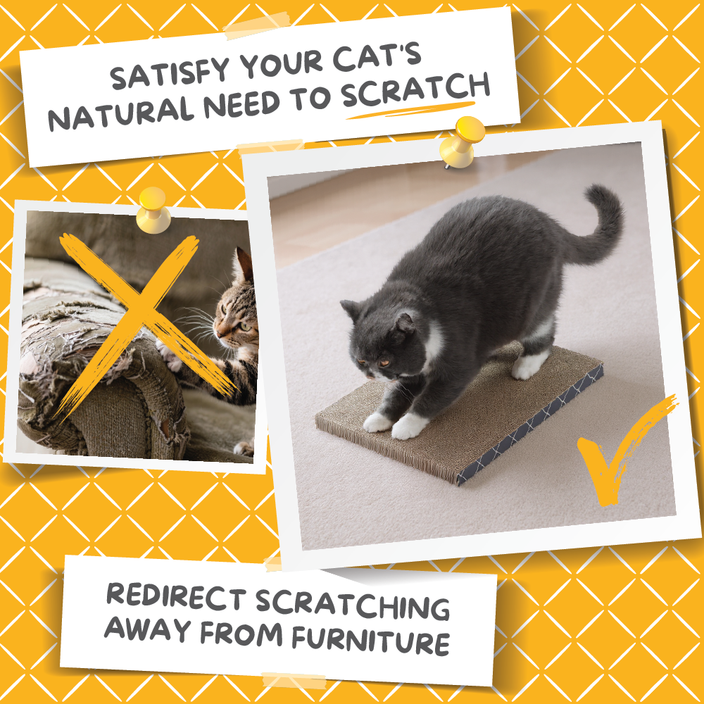 Scratch Pad Refills for Hide & Scratch Box (or use on their own)