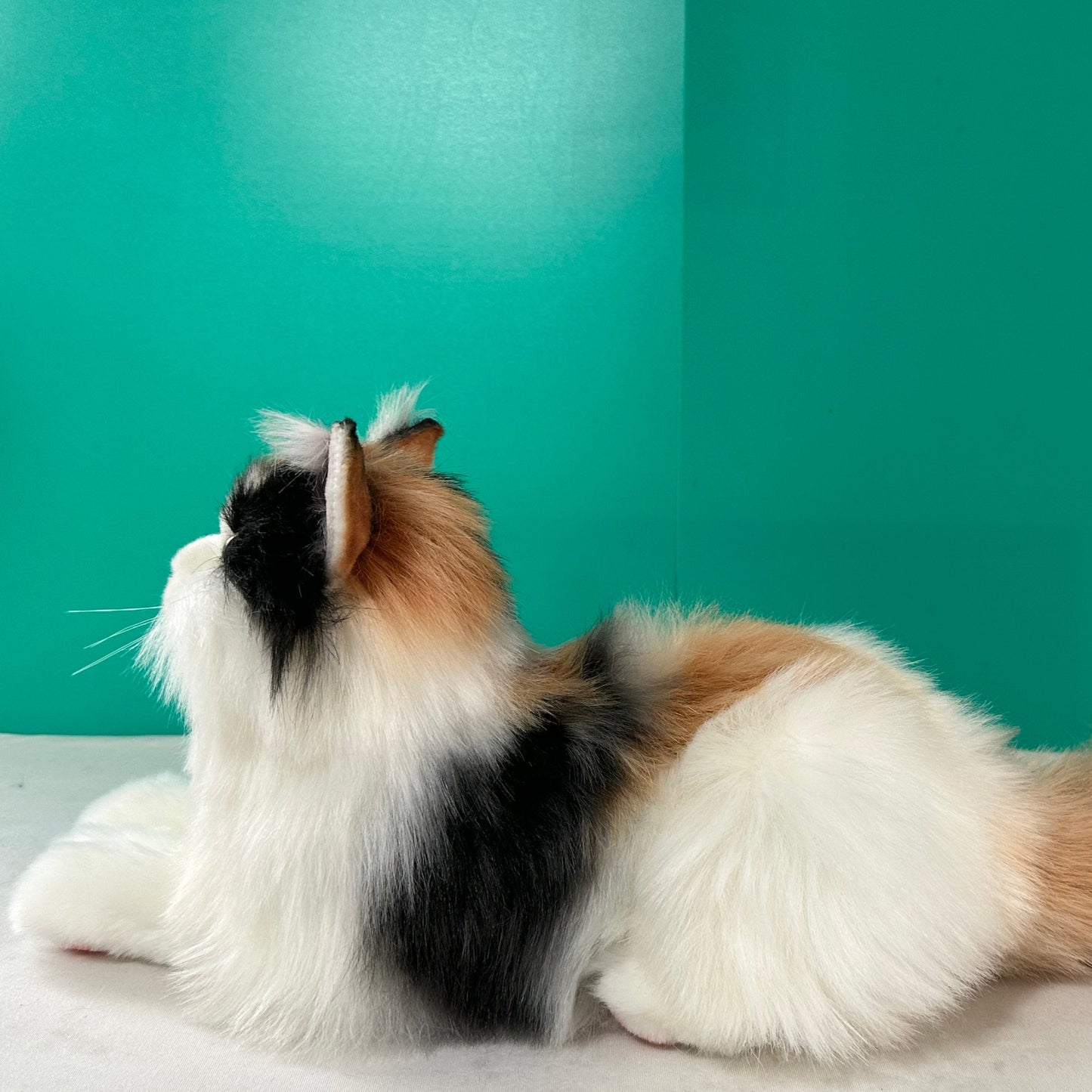 Plush Calico Cat Order to Make