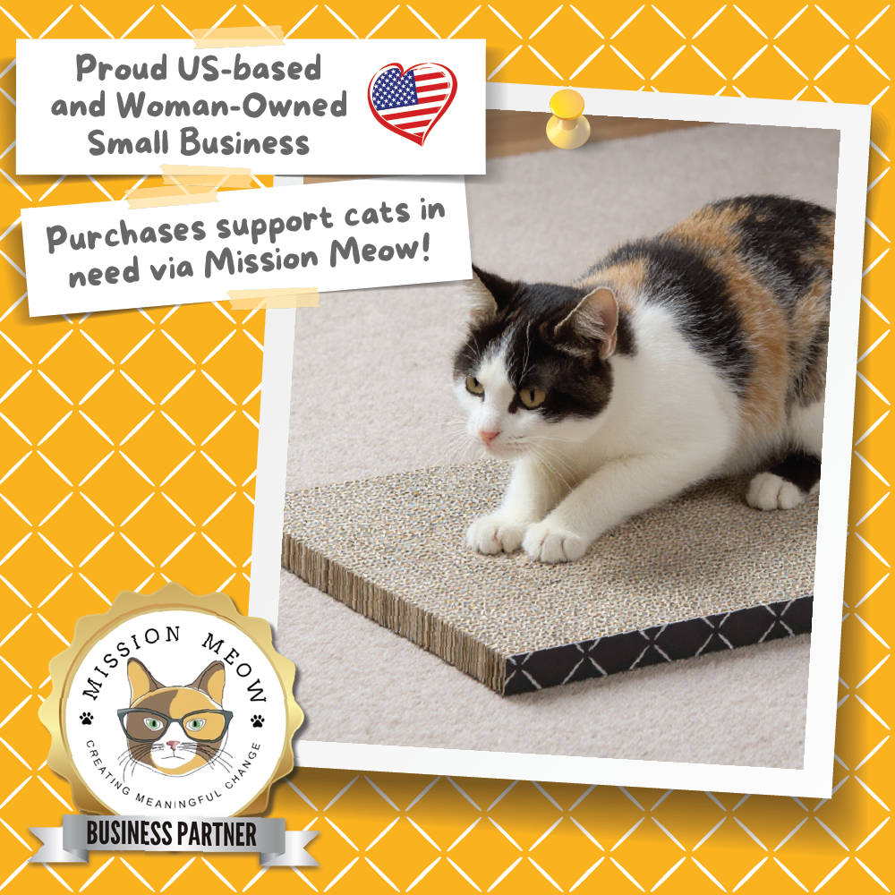 Scratch Pad Refills for Hide & Scratch Box (or use on their own)