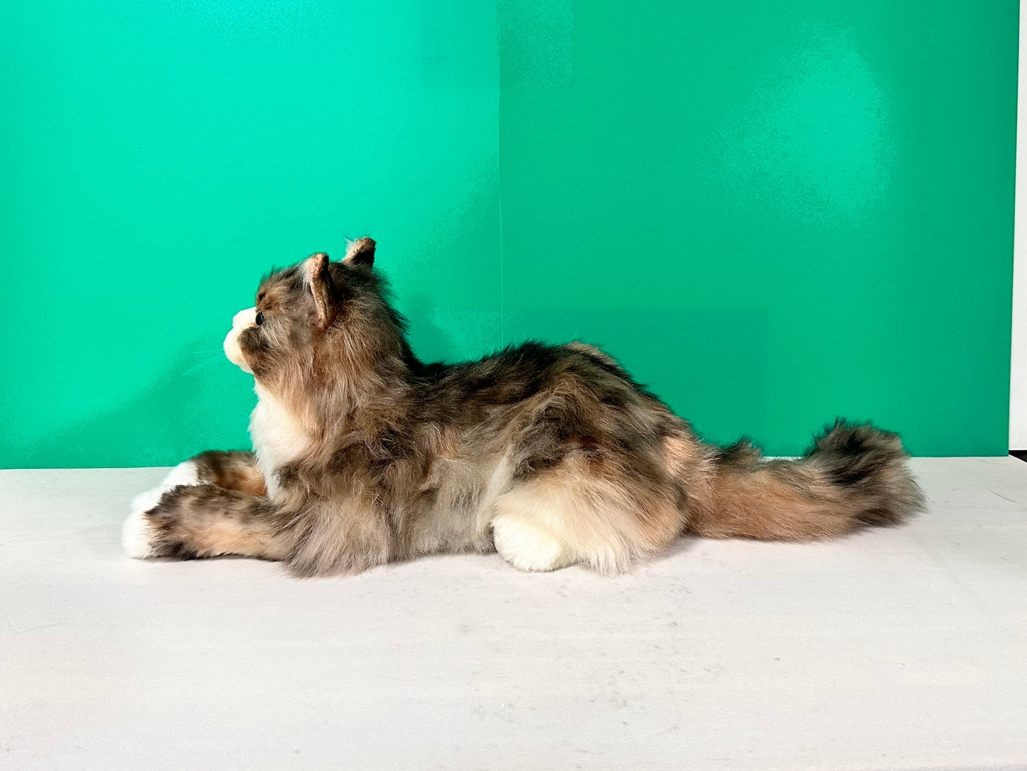 Plush Norwegian Forest Cat Order to Make