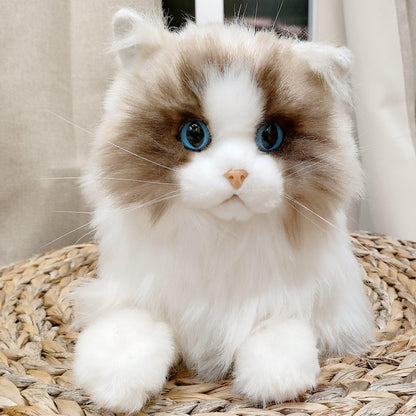 Ragdoll Weighted Plush – Realistic Cozy Calming Toy