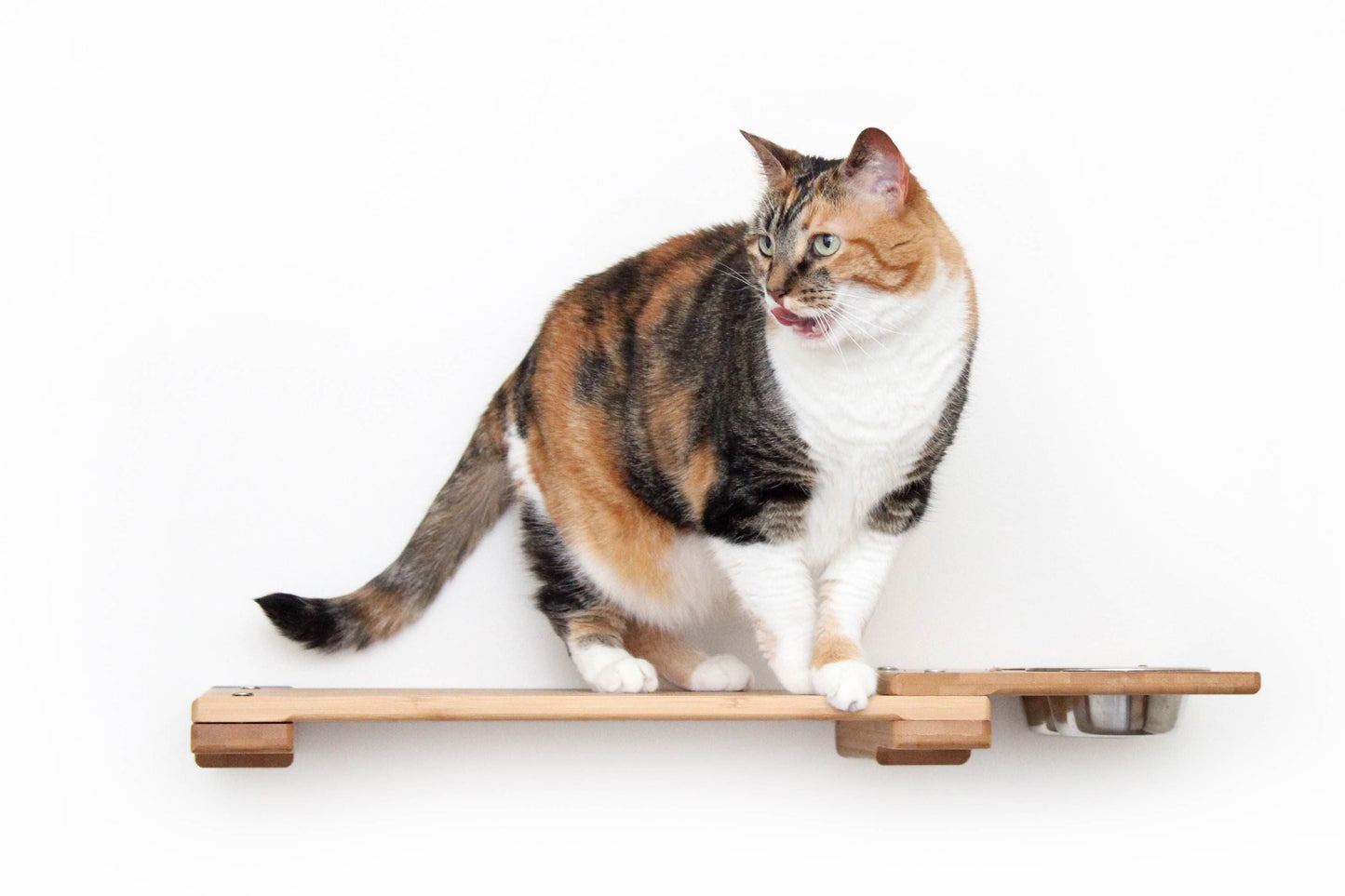 Wall Mounted Cat Feeding Shelf