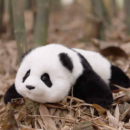 Red Panda Weighted Plush – Snuggle Toy for Stress Relief