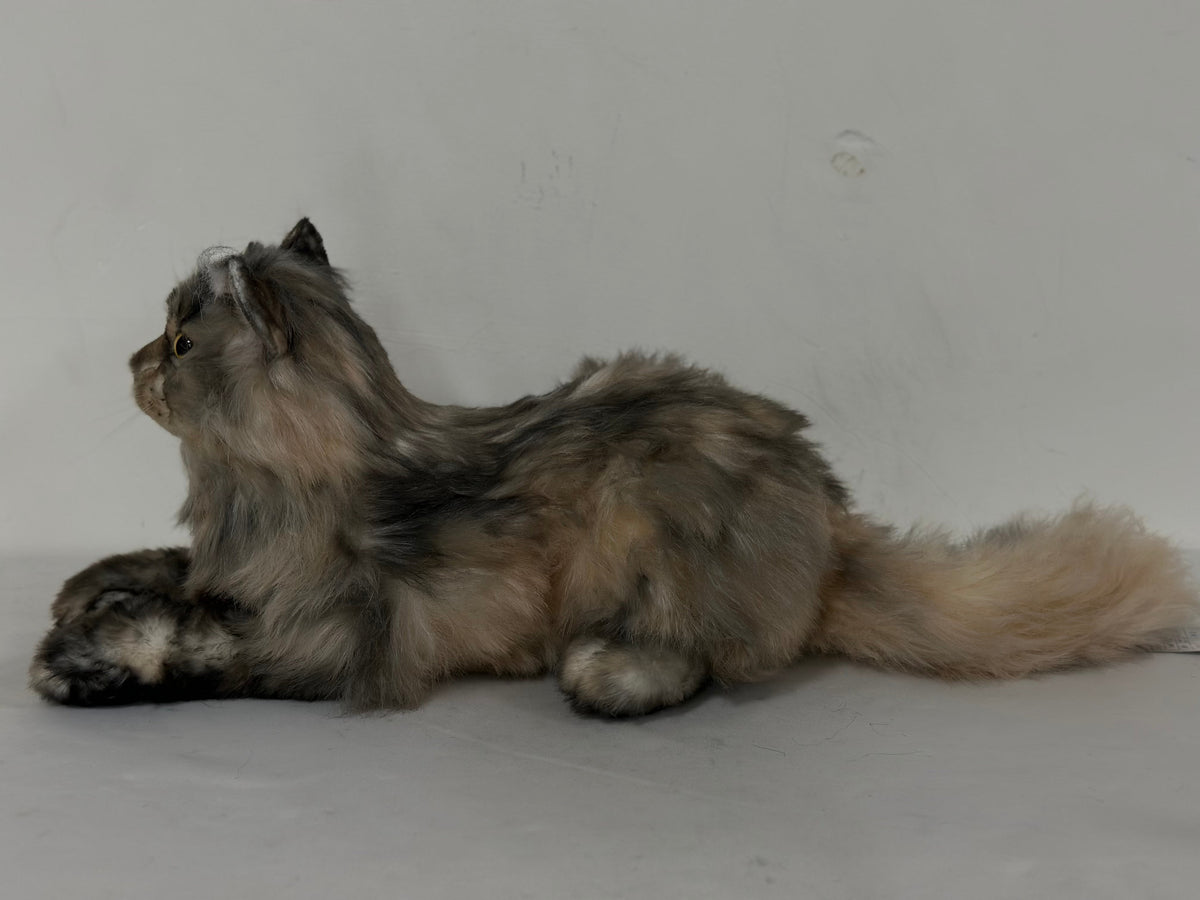 Plush American Tabby Cat Longhair Order to Make