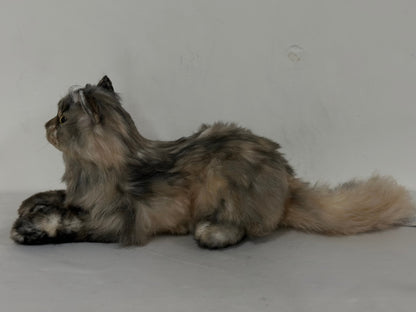 Plush American Tabby Cat Longhair Order to Make