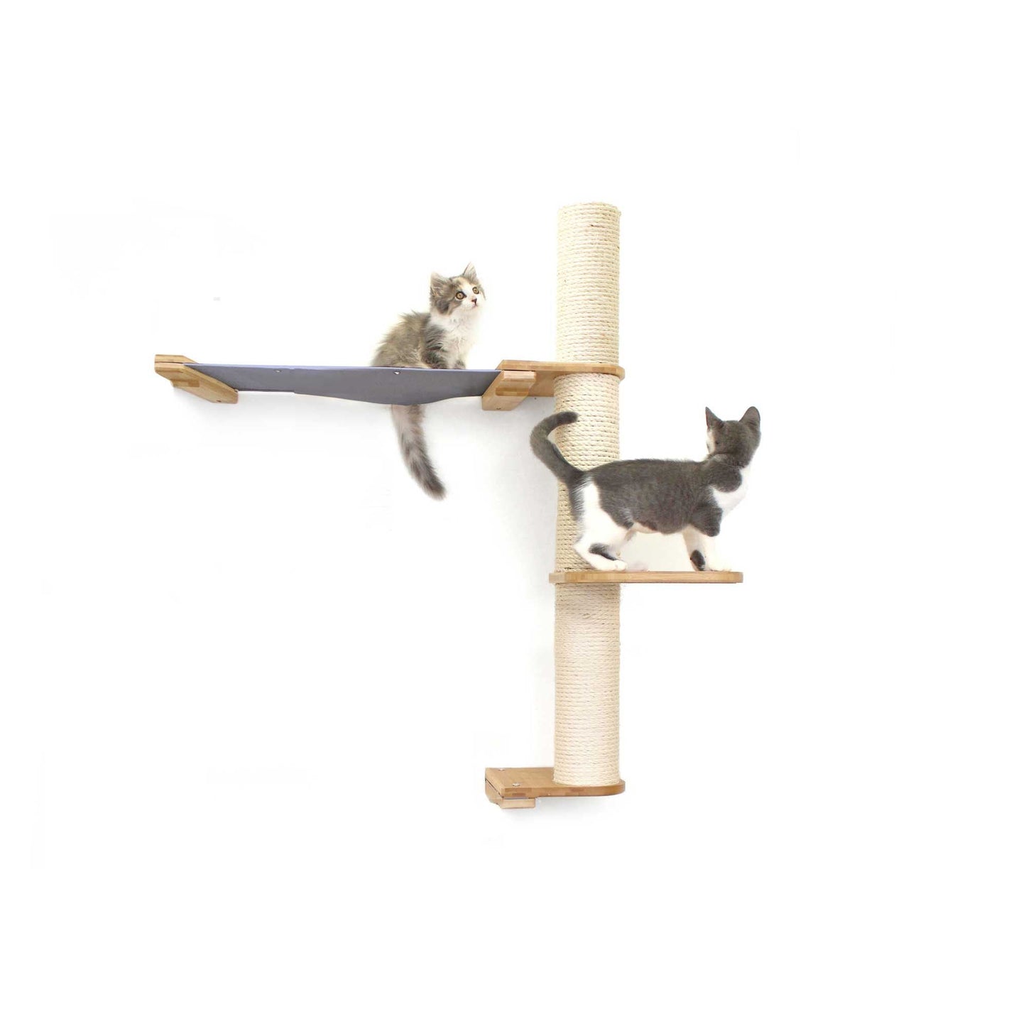 The Crow's Nest - A Wall Cat Scratcher with Hammock