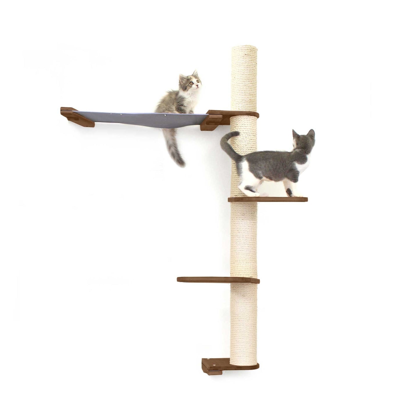 The Crow's Nest - A Wall Cat Scratcher with Hammock
