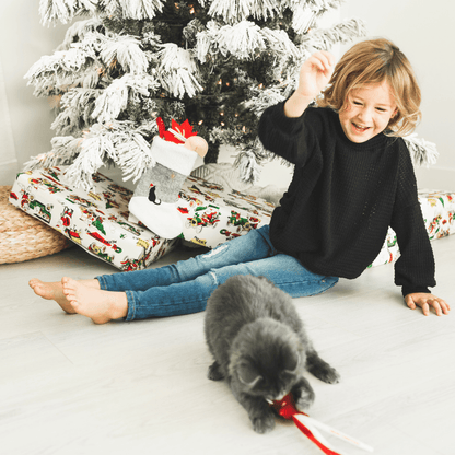 Cat Christmas Stocking with Toys