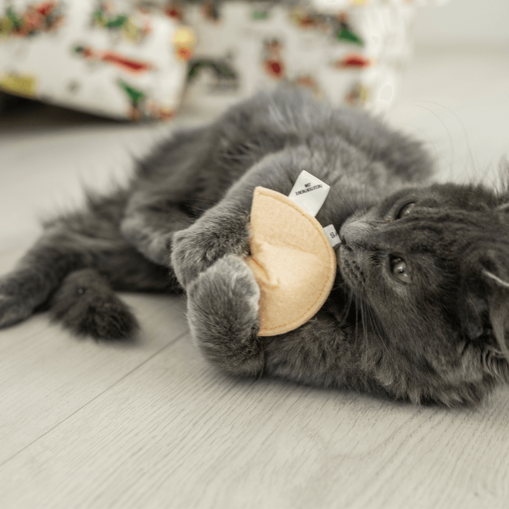 Cat Christmas Stocking with Toys