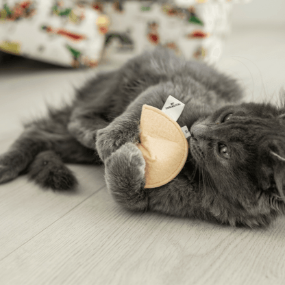 Cat Christmas Stocking with Toys