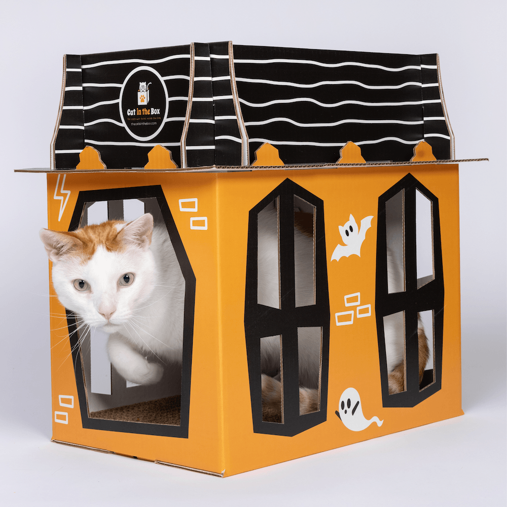 Spooky Cat Haunted House Cardboard Condo