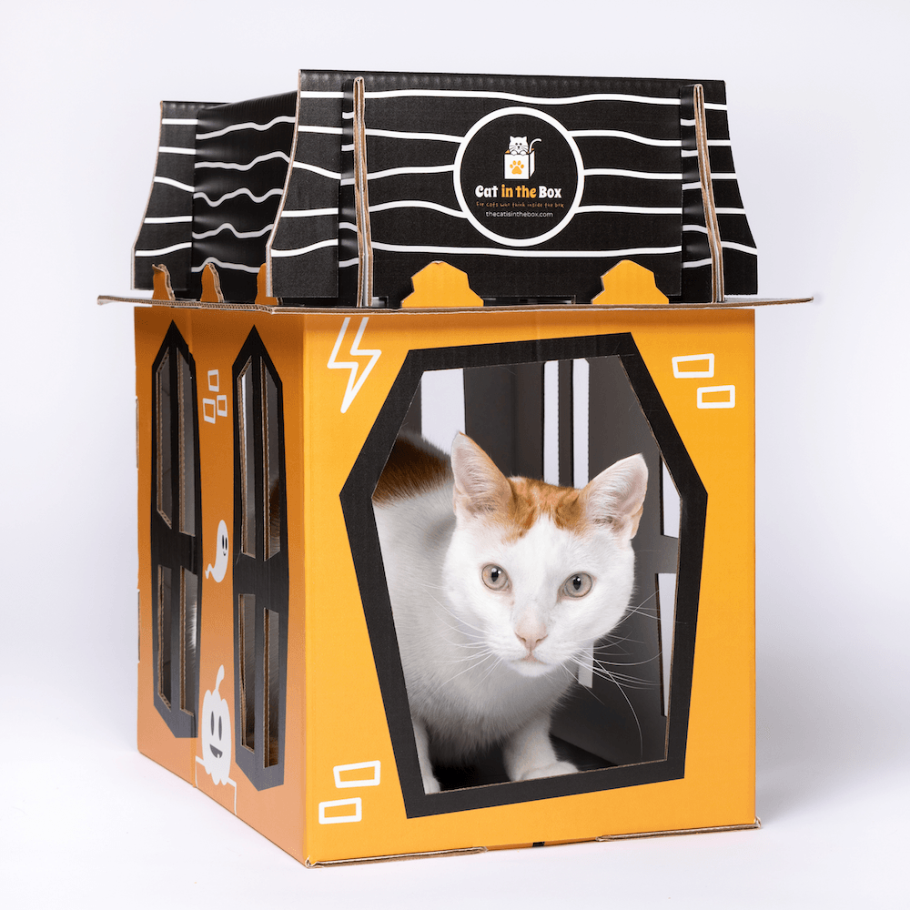 Spooky Cat Haunted House Cardboard Condo