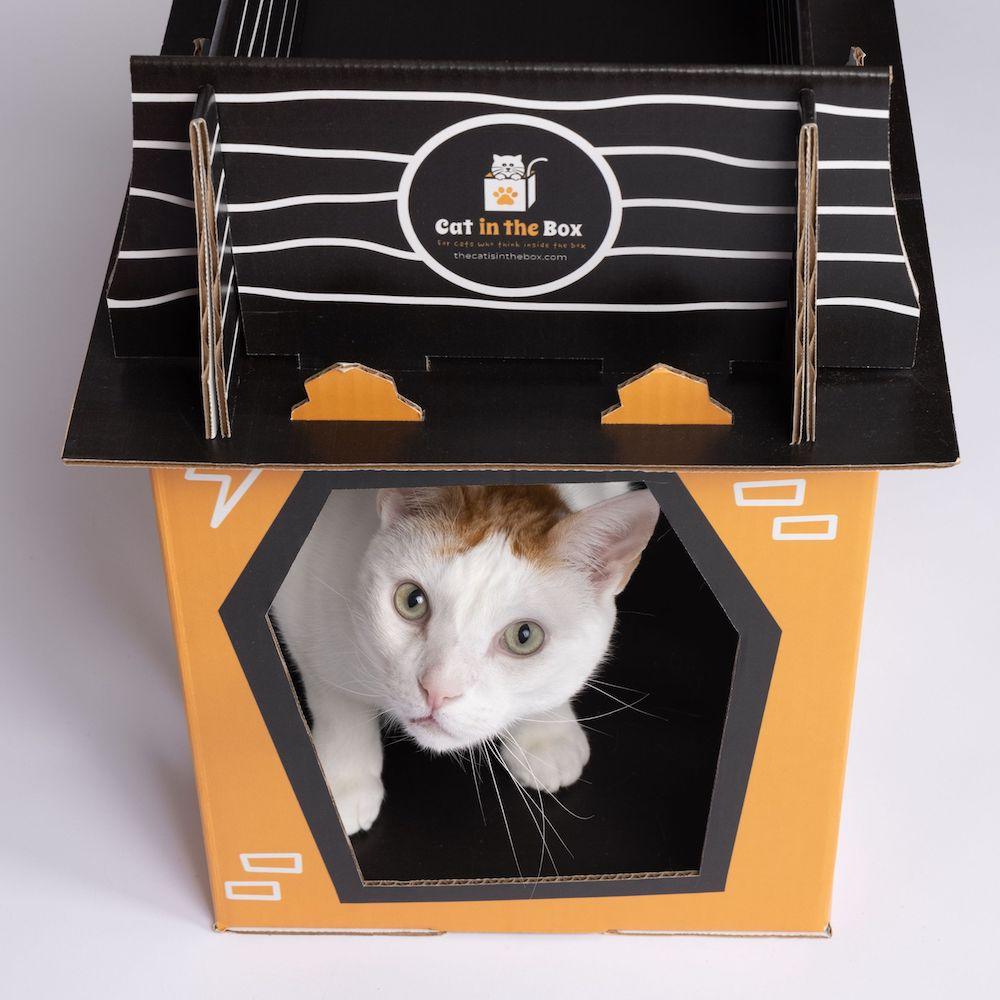 Spooky Cat Haunted House Cardboard Condo