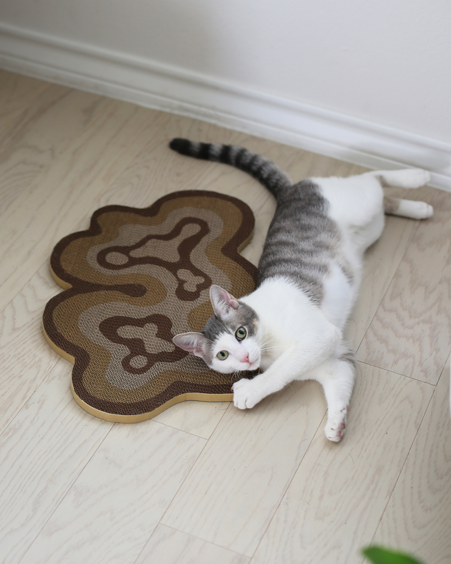 Bloom Scratchers